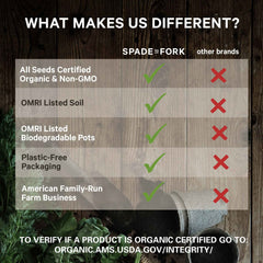 Spade To Fork wood-burned plant markers showing tidy garden organization