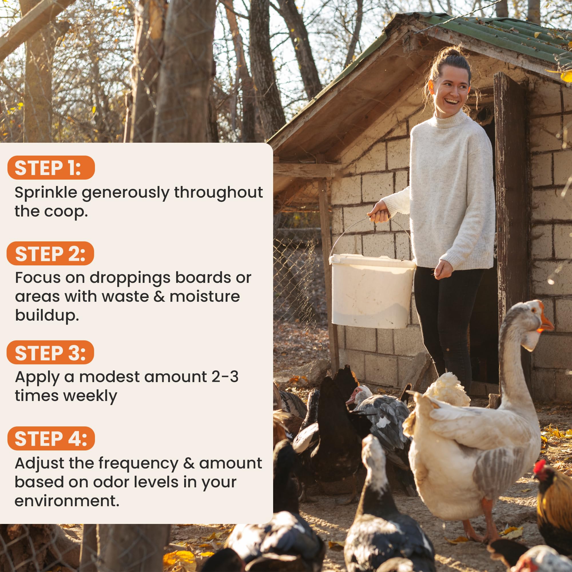 Spanielbuns used in a backyard coop environment providing cleaner air