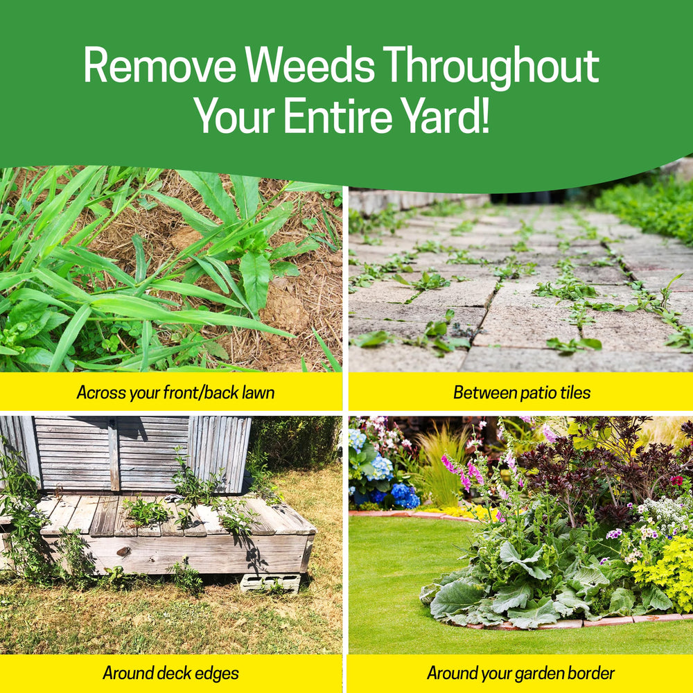 Spear Head Spade being used in garden to remove weeds faster with less bending