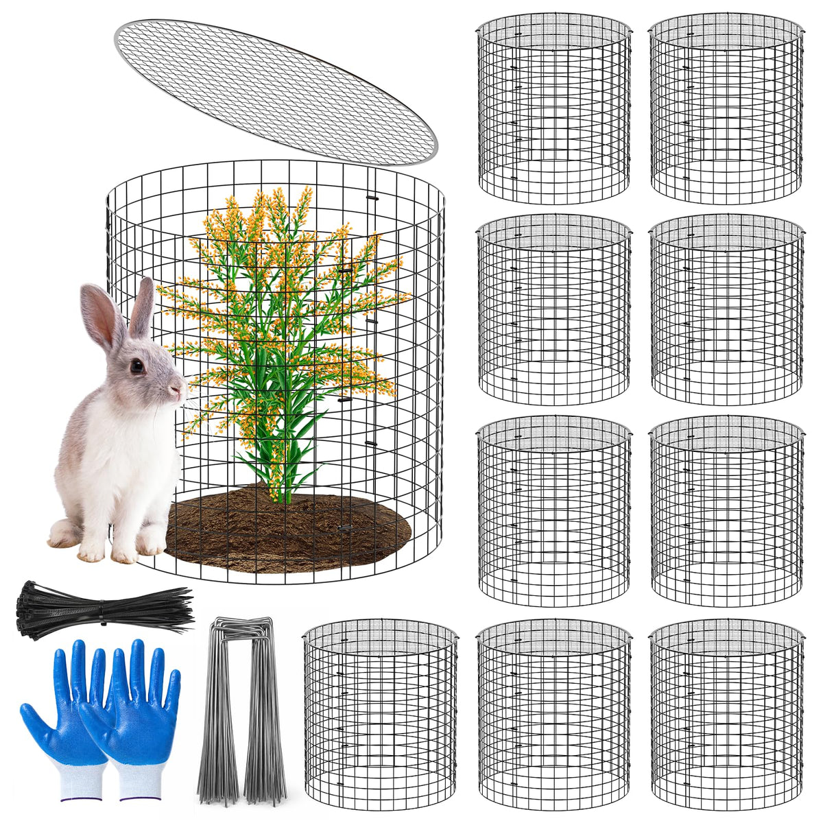 SPECILITE front view of 10-pack cages showing protection for seedlings