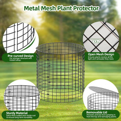 SPECILITE cage installed around garden plant demonstrating animal-proof protection benefit
