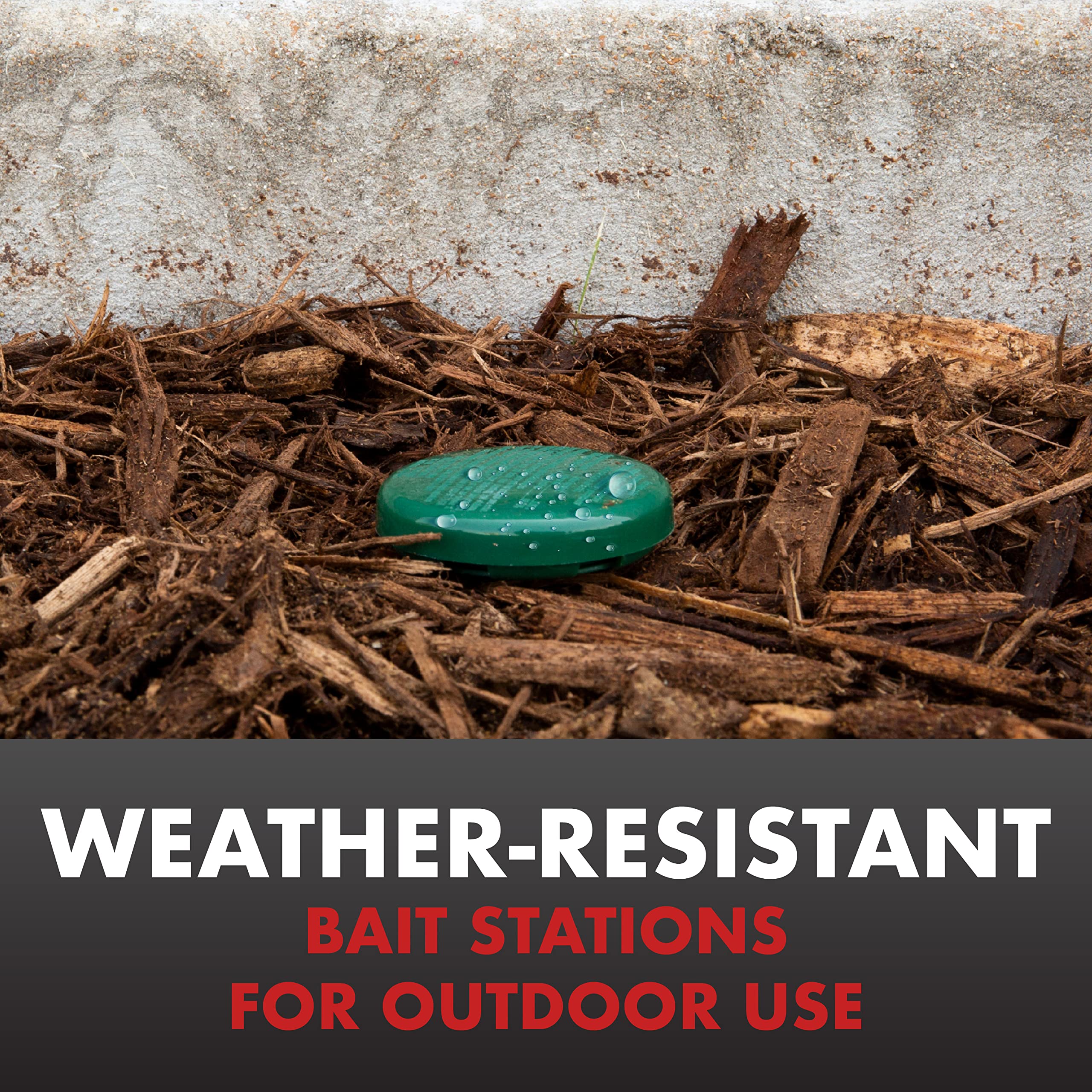 Spectracide close-up of bait chamber highlighting easy ant access and effectiveness