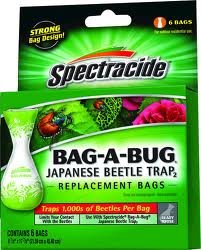 Spectracide replacement bag front view showing hourglass trap catching beetles safely