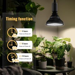 SpeePlant light above kitchen herb shelf providing even growth-friendly lighting