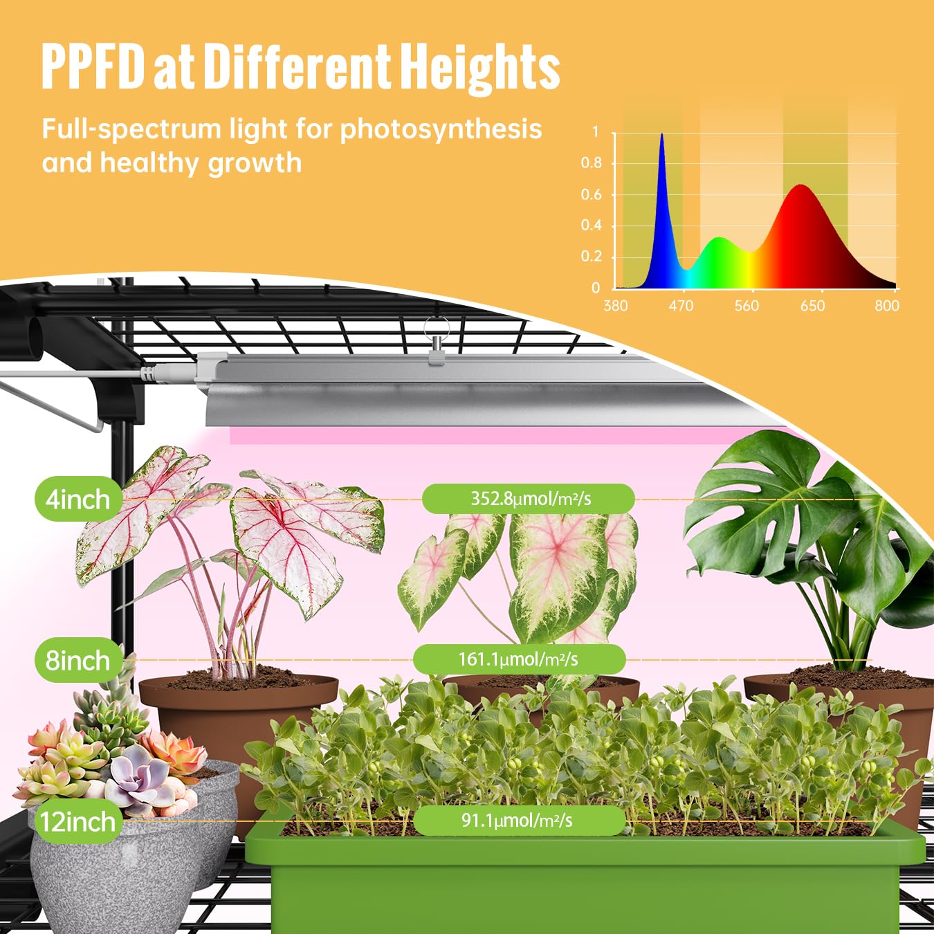 SpeePlant shelving loaded with potted plants demonstrating stable support and organization