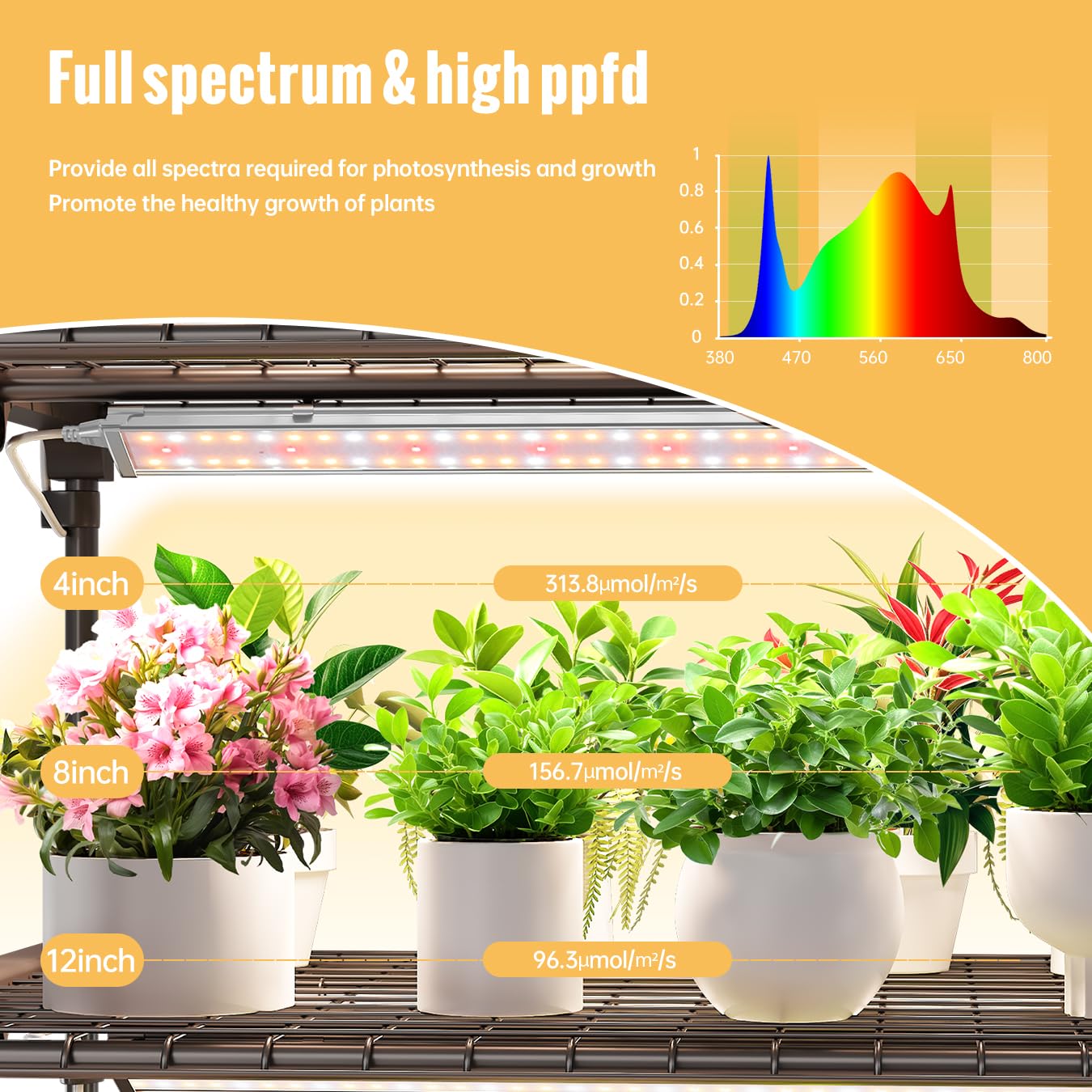 SpeePlant timer and light connector close-up allowing simple scheduling and linking