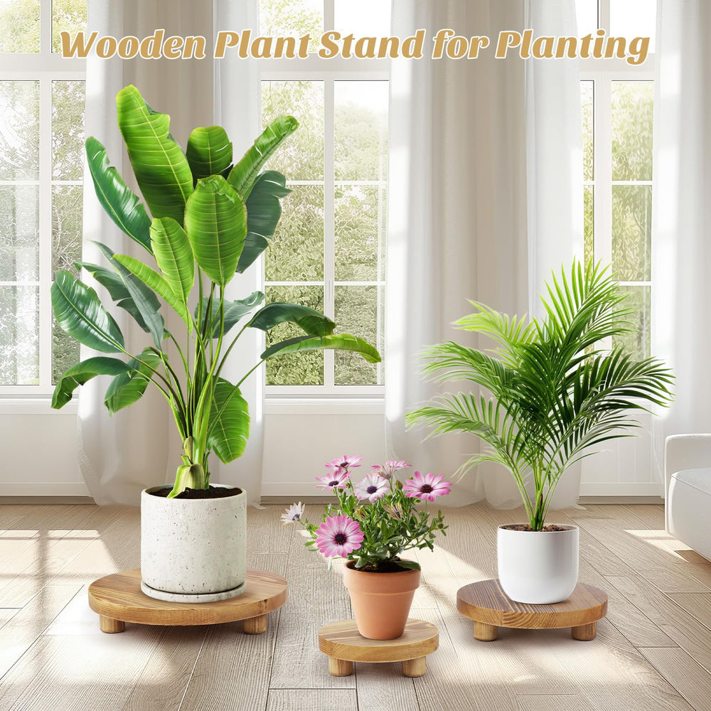 SPHOSWHP wooden riser used as kitchen serving stand for presentation