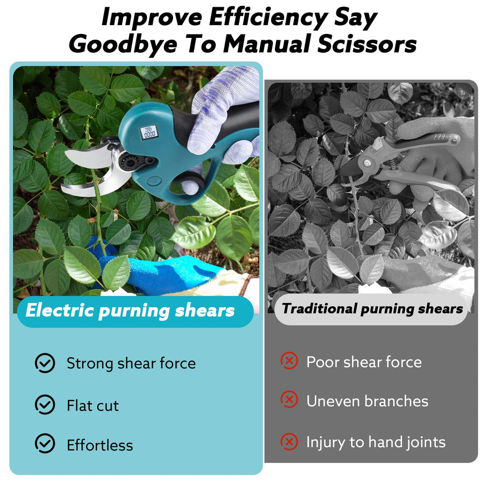 SPICIMOMO pruner next to ruler for clear size and scale comparison