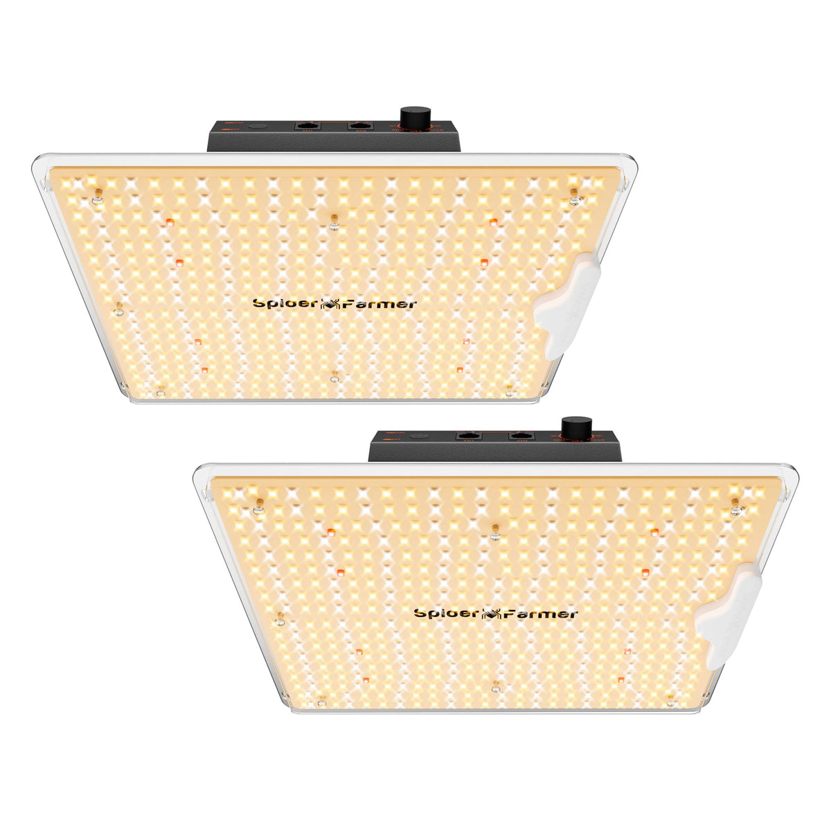 Spider Farmer front view of dual panels showing uniform light for canopy growth