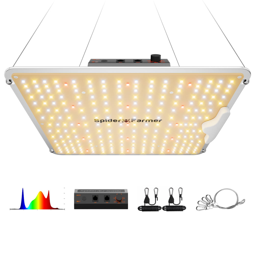 Spider Farmer SF1000 front view shows compact fixture and uniform lighting benefit