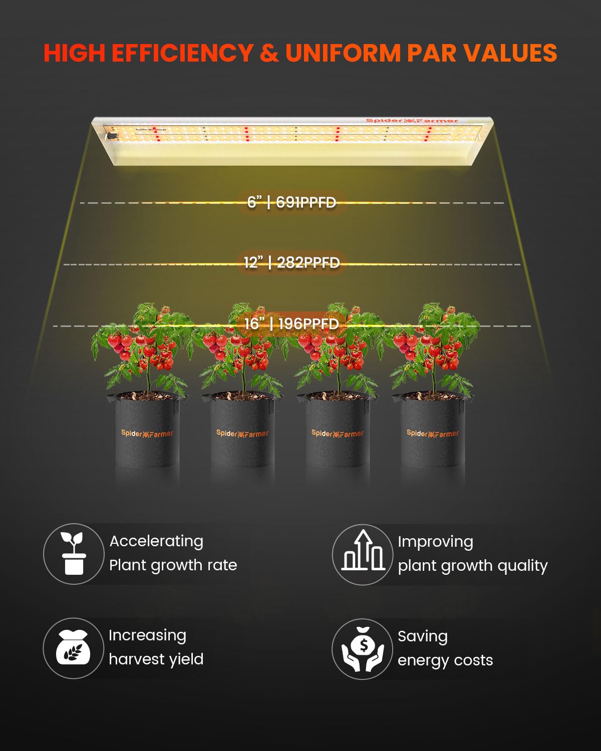Spider Farmer SF300 mounted on shelf lighting seedlings efficiently