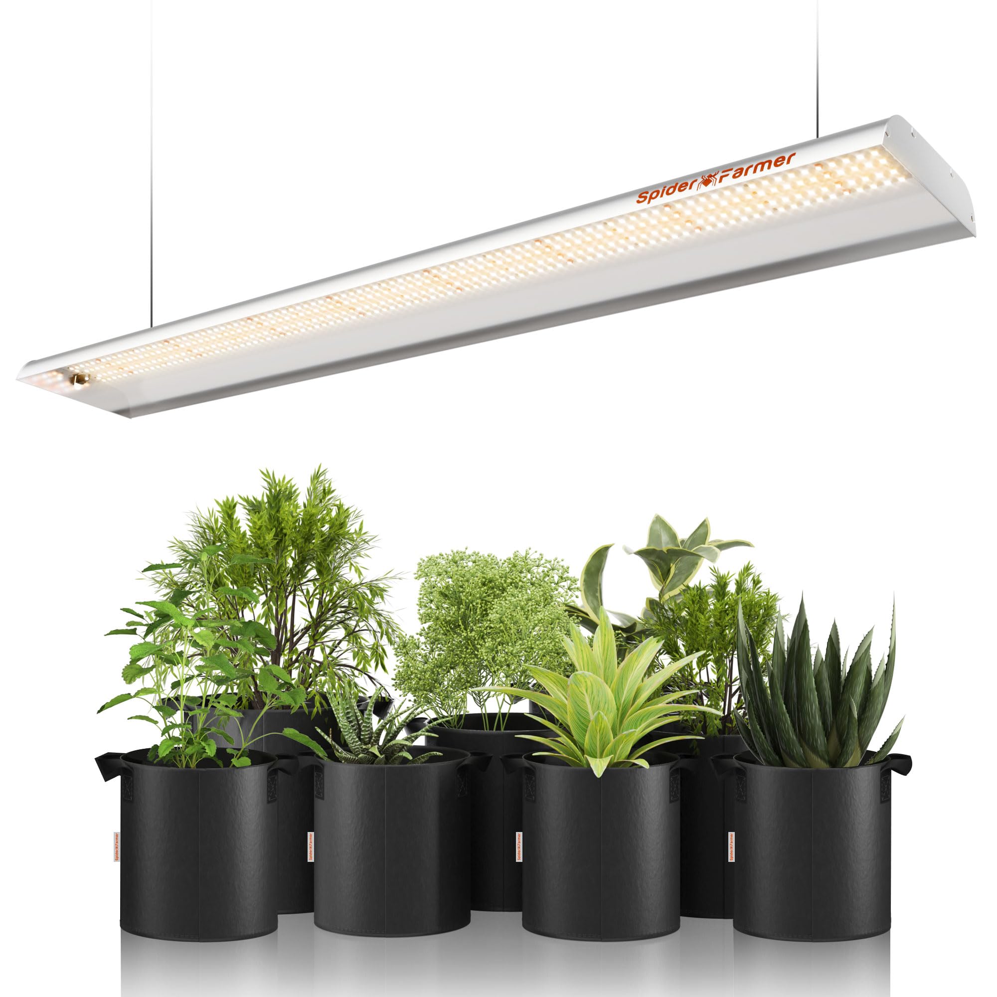 Spider Farmer SF600 front view showing slim lamp and focused canopy lighting