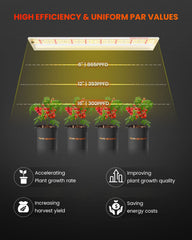 Spider Farmer SF600 LED array detail illustrating dense diodes for strong output