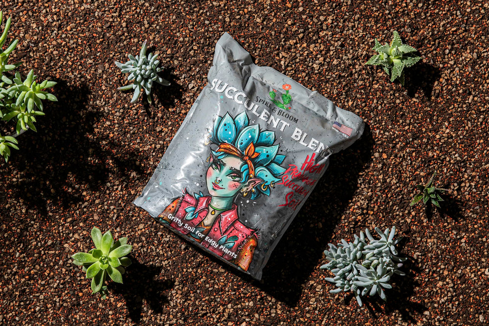 Spike & Bloom coffee compost granules detail providing gentle nutrients