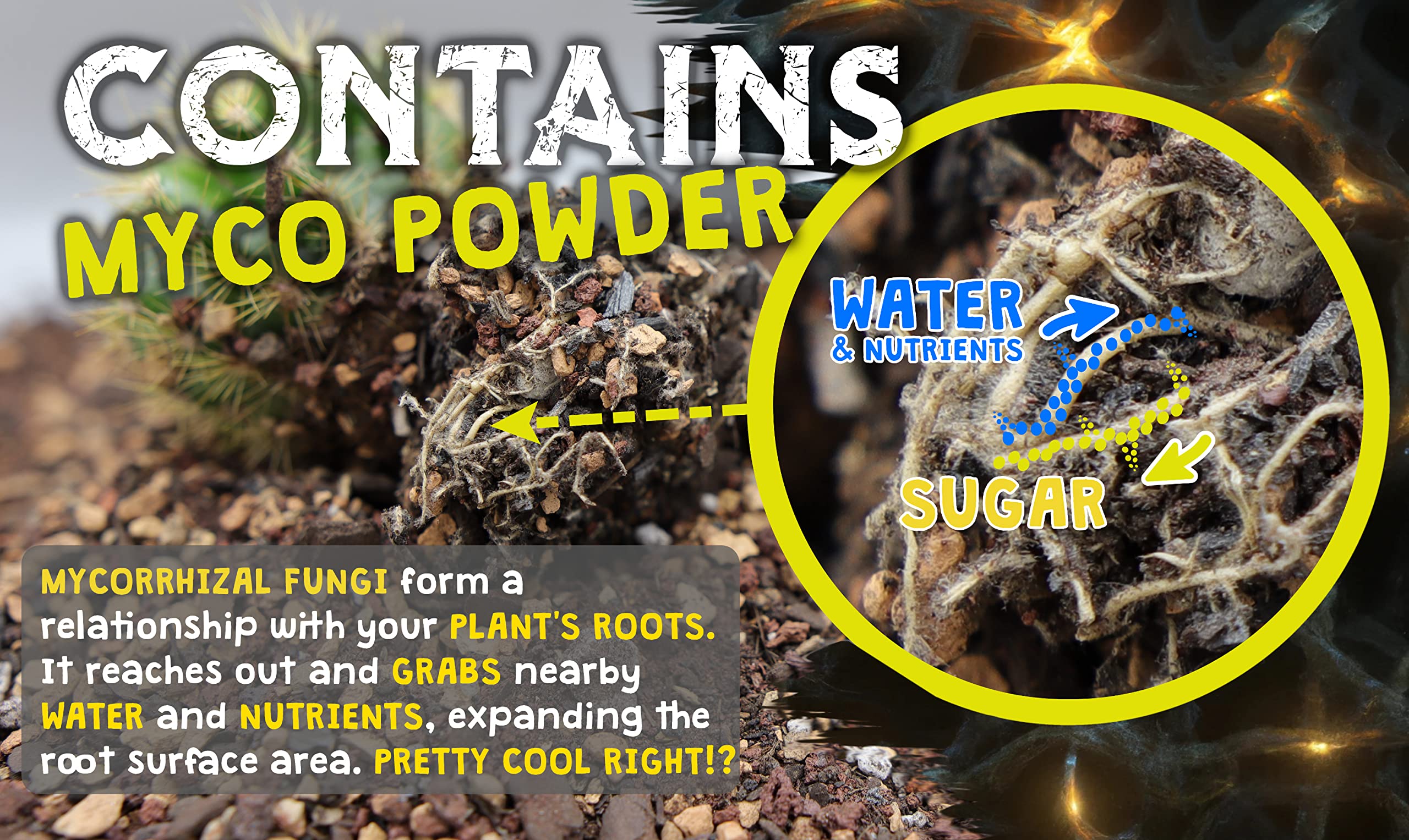 Spike & Bloom mycorrhizae powder close-up showing root support benefit