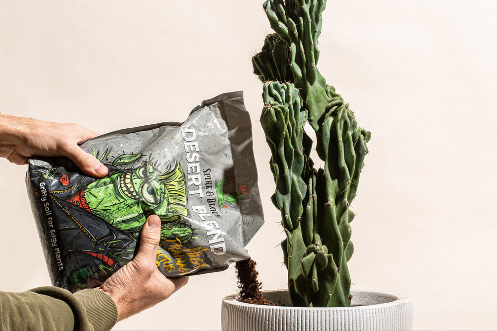 Spike & Bloom in use while repotting succulent showing easy application benefit