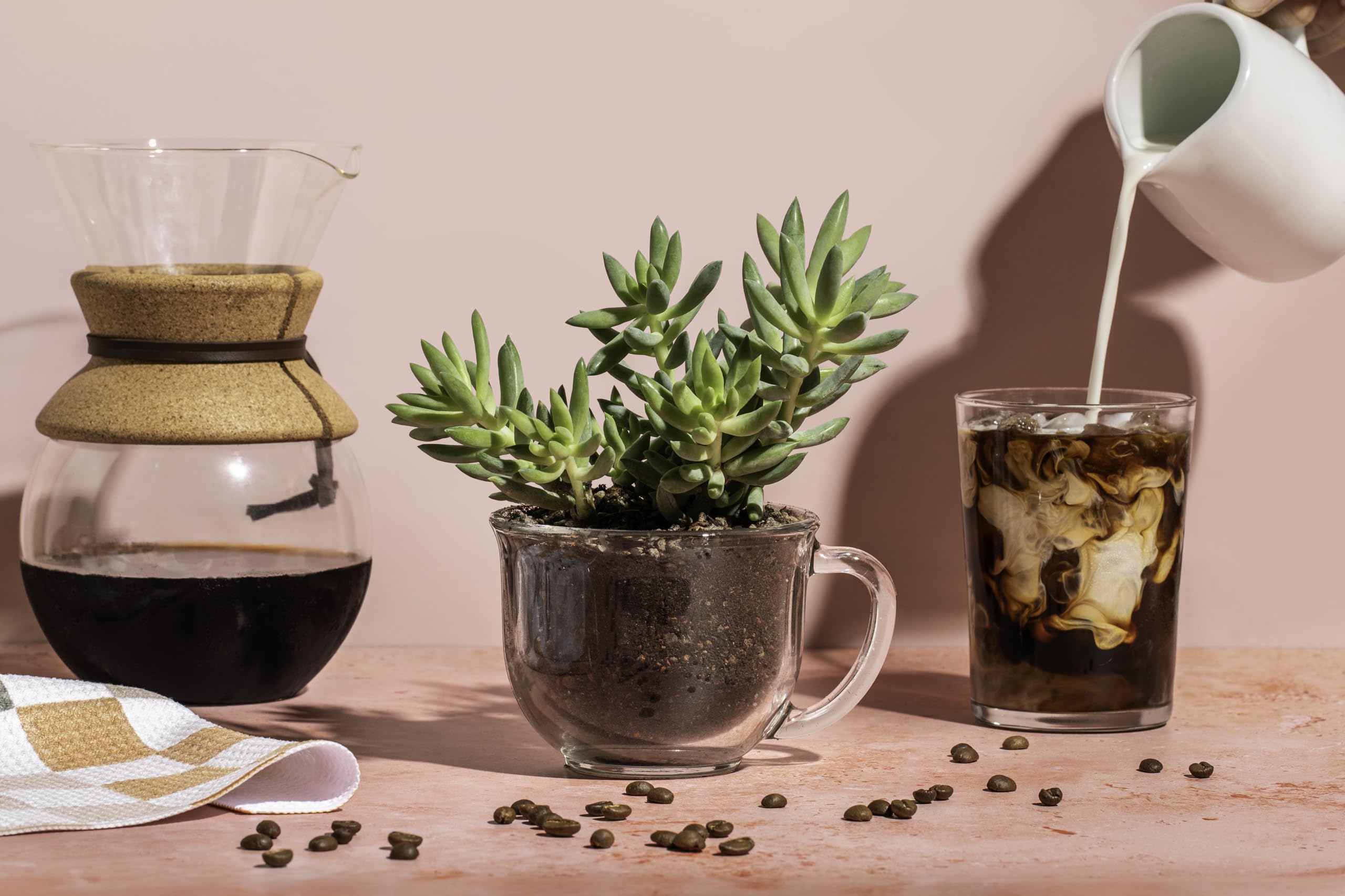 Spike & Bloom styled tabletop succulents showcasing finished look and drainage