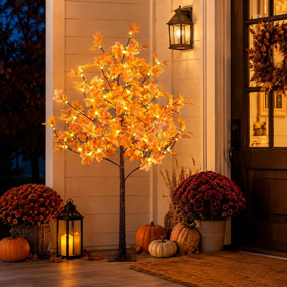 SPIRIT STAR CHRISTMAS CENTER front view of 5 ft maple tree showing autumn foliage and shape for seasonal decor