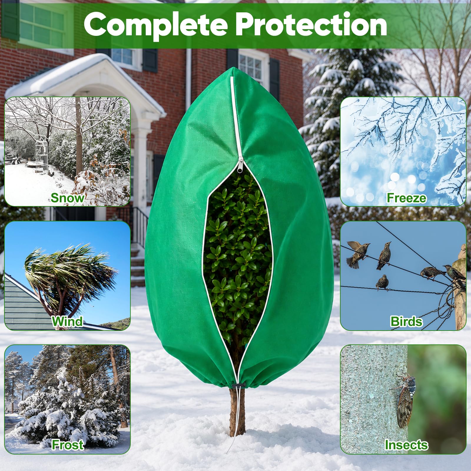 SPORTYOUTH cover installed on potted citrus tree protecting leaves while allowing light