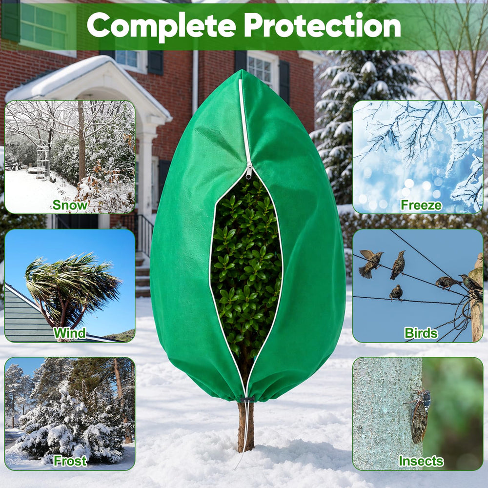 SPORTYOUTH cover installed on potted citrus tree protecting leaves while allowing light