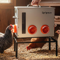 Sprigrown front view of galvanized metal chicken feeder showing capacity and design benefit