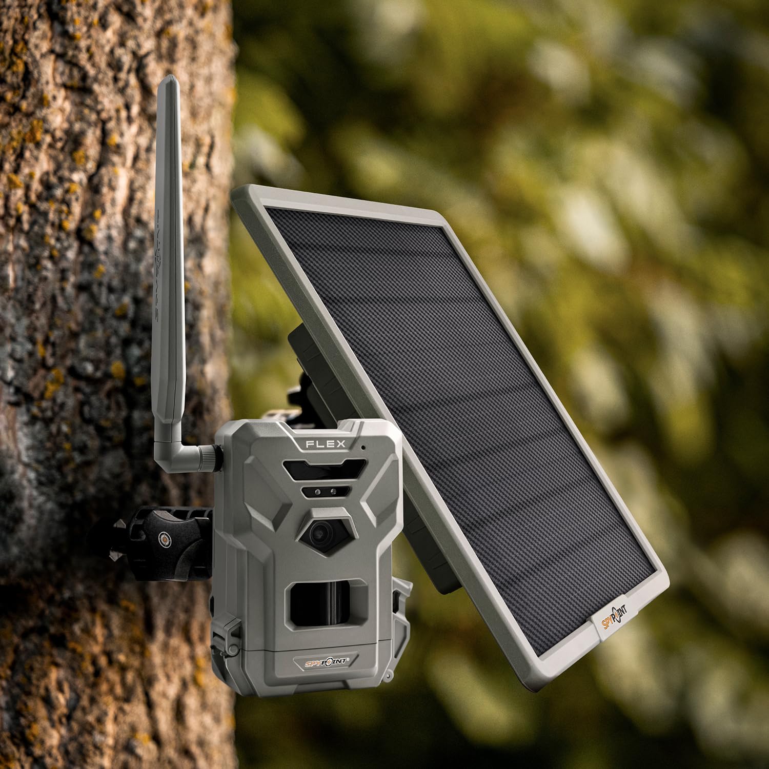SPYPOINT field setup with camera showing reliable power for remote monitoring