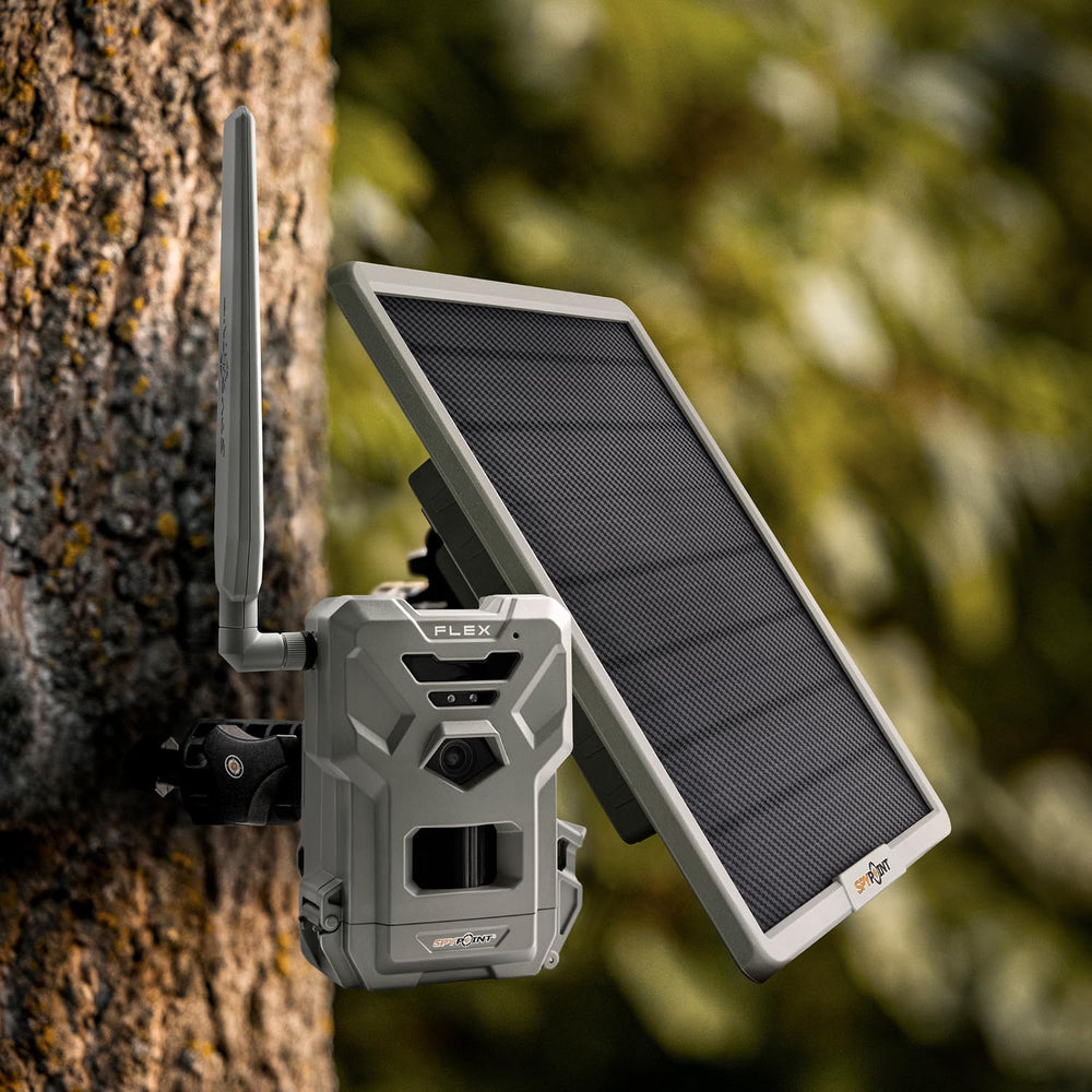 SPYPOINT field setup with camera showing reliable power for remote monitoring