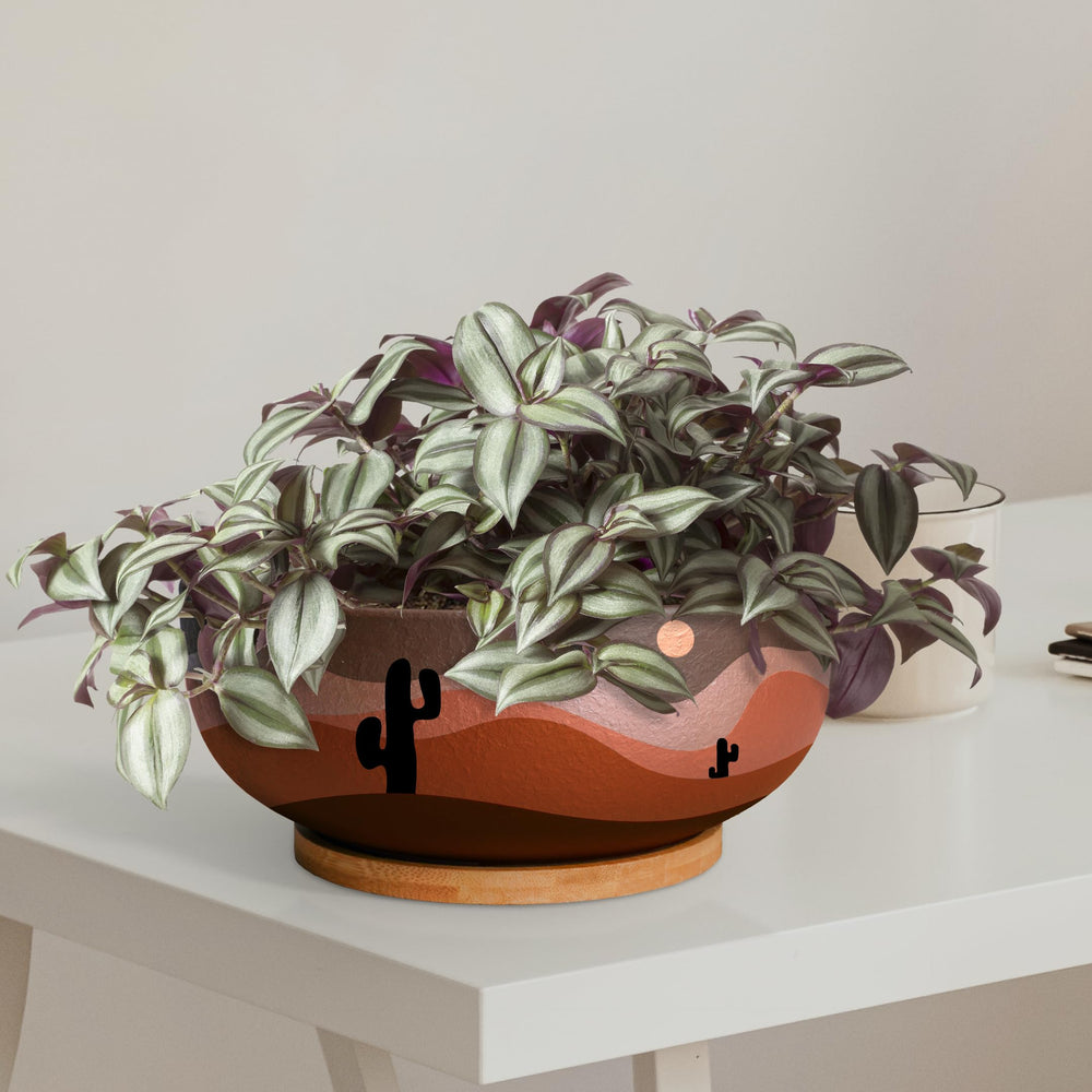 SQOWL bamboo saucer under pot catching excess water to protect surfaces