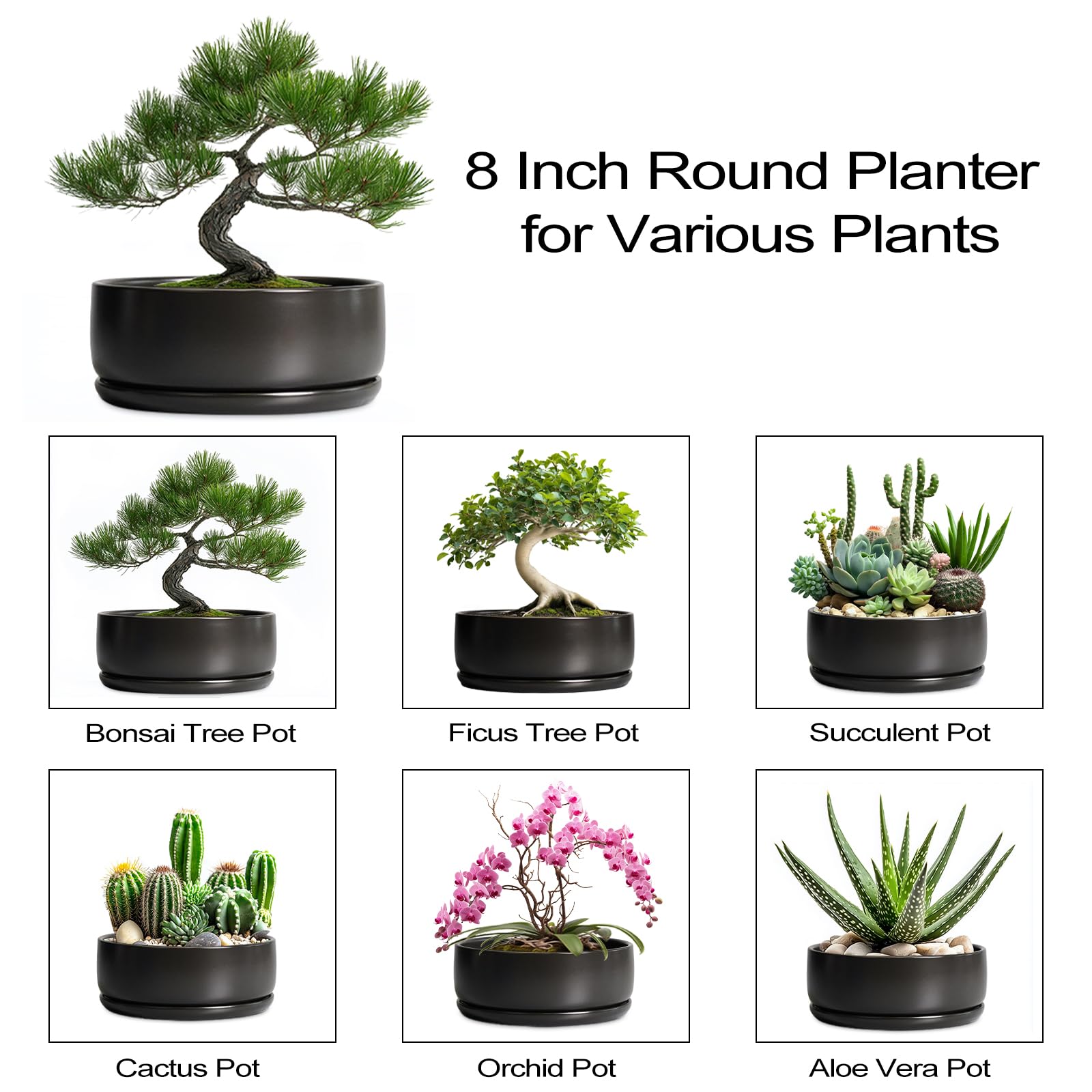SQOWL product label and dimensions display aiding purchase clarity and accurate sizing