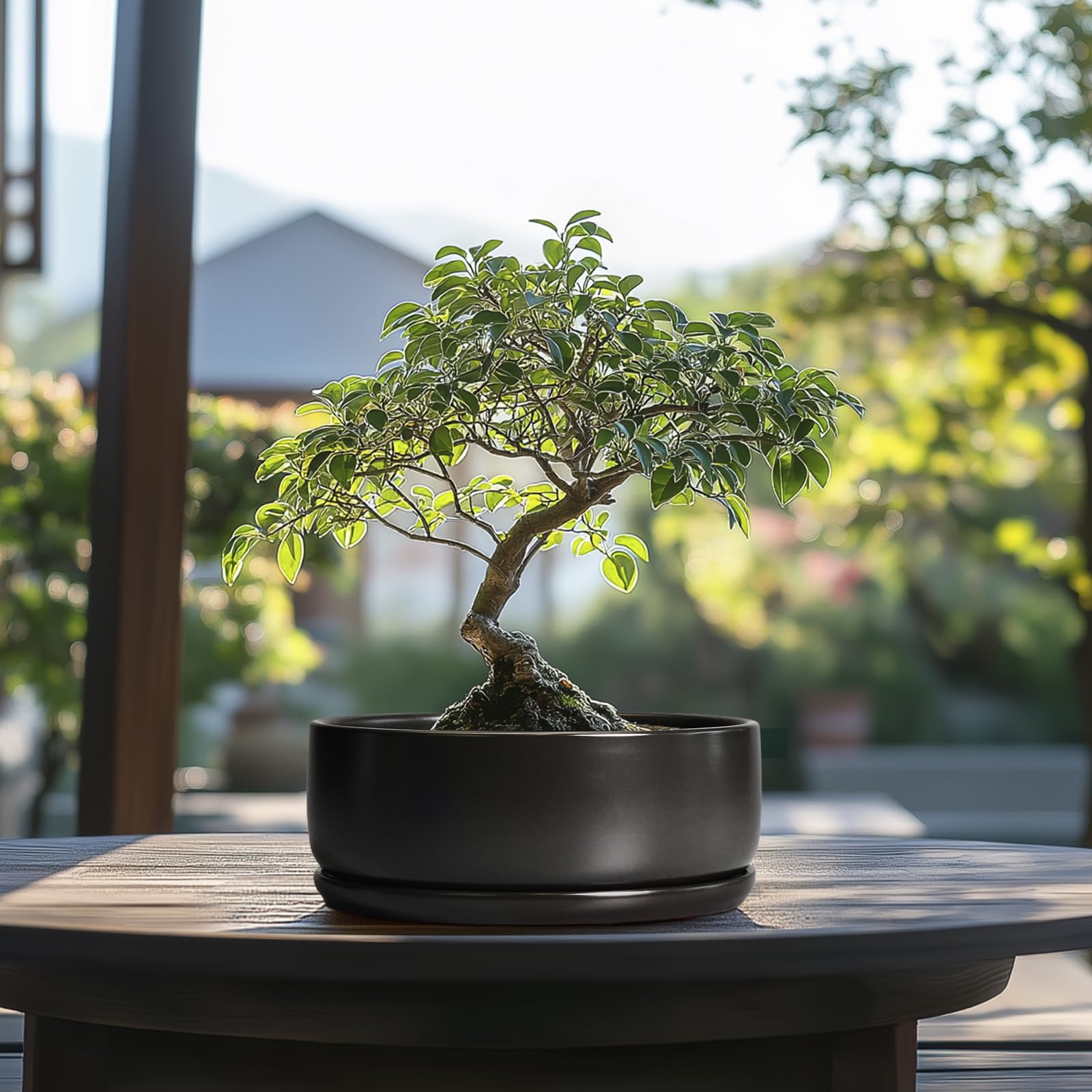 SQOWL pot on a window sill in lifestyle scene enhancing room decor and natural light