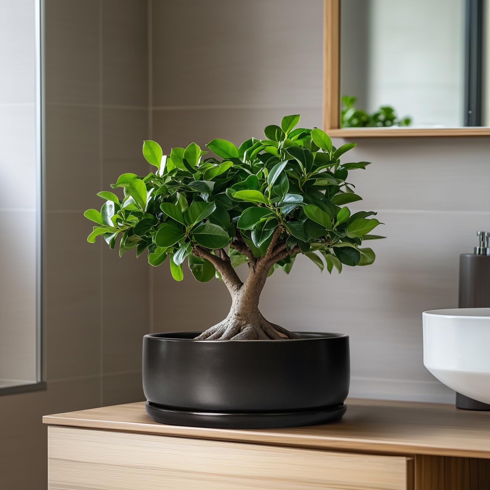 SQOWL pot held in hand for scale showing 8-inch size and tabletop suitability benefit
