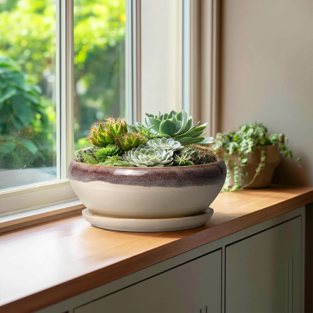 SQOWL ceramic saucer catching runoff to protect surfaces and floors