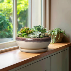 SQOWL ceramic saucer catching runoff to protect surfaces and floors
