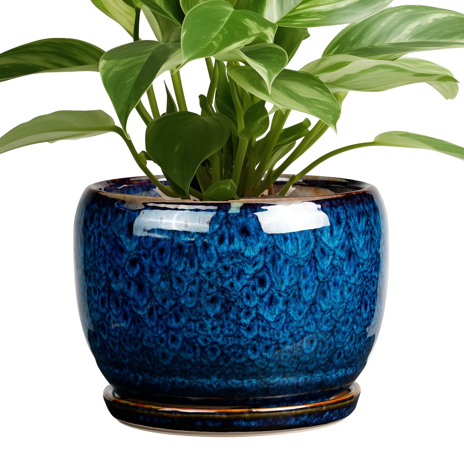 SQOWL front view glazed blue planter showing modern shape and elegance