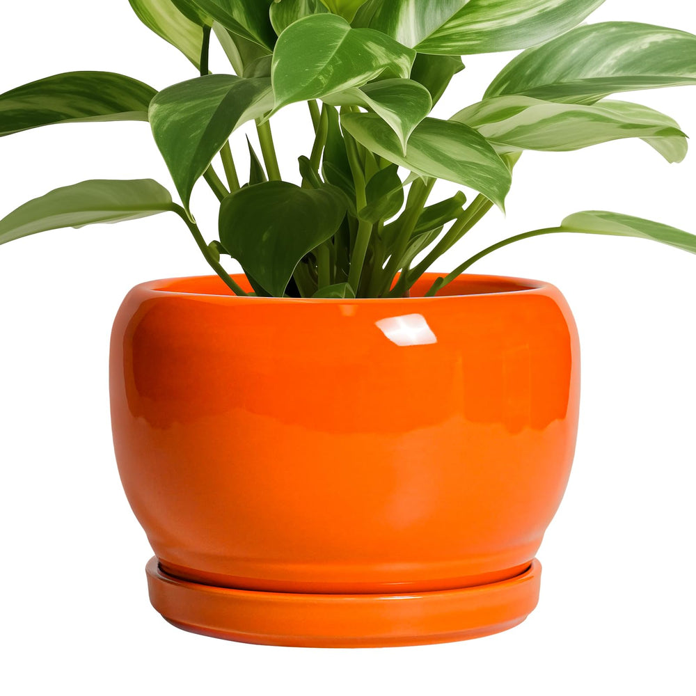 SQOWL front view orange planter showing modern round design and decorative appeal