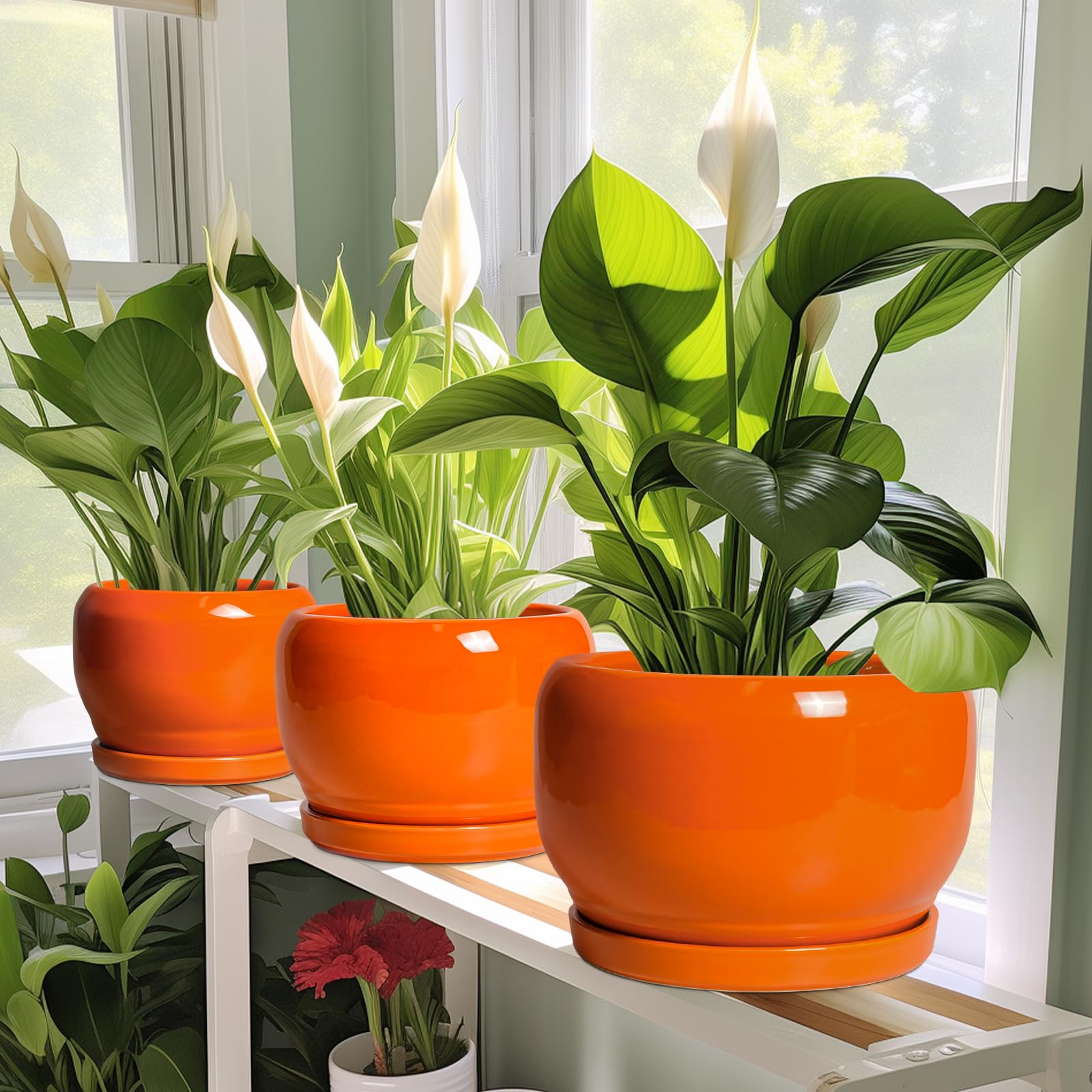 SQOWL lifestyle balcony display showing vibrant color that enhances outdoor décor