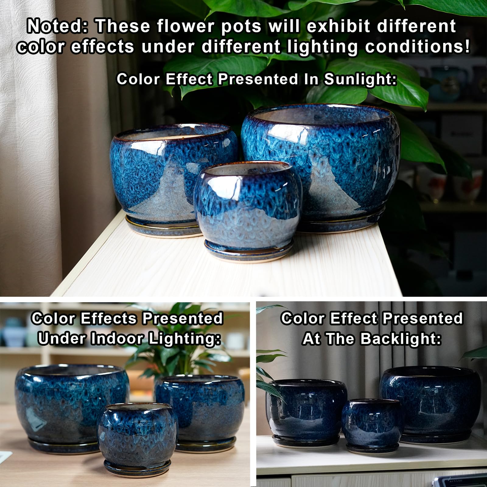 SQOWL maceta con monstera ilustrando soporte para plantas medianas