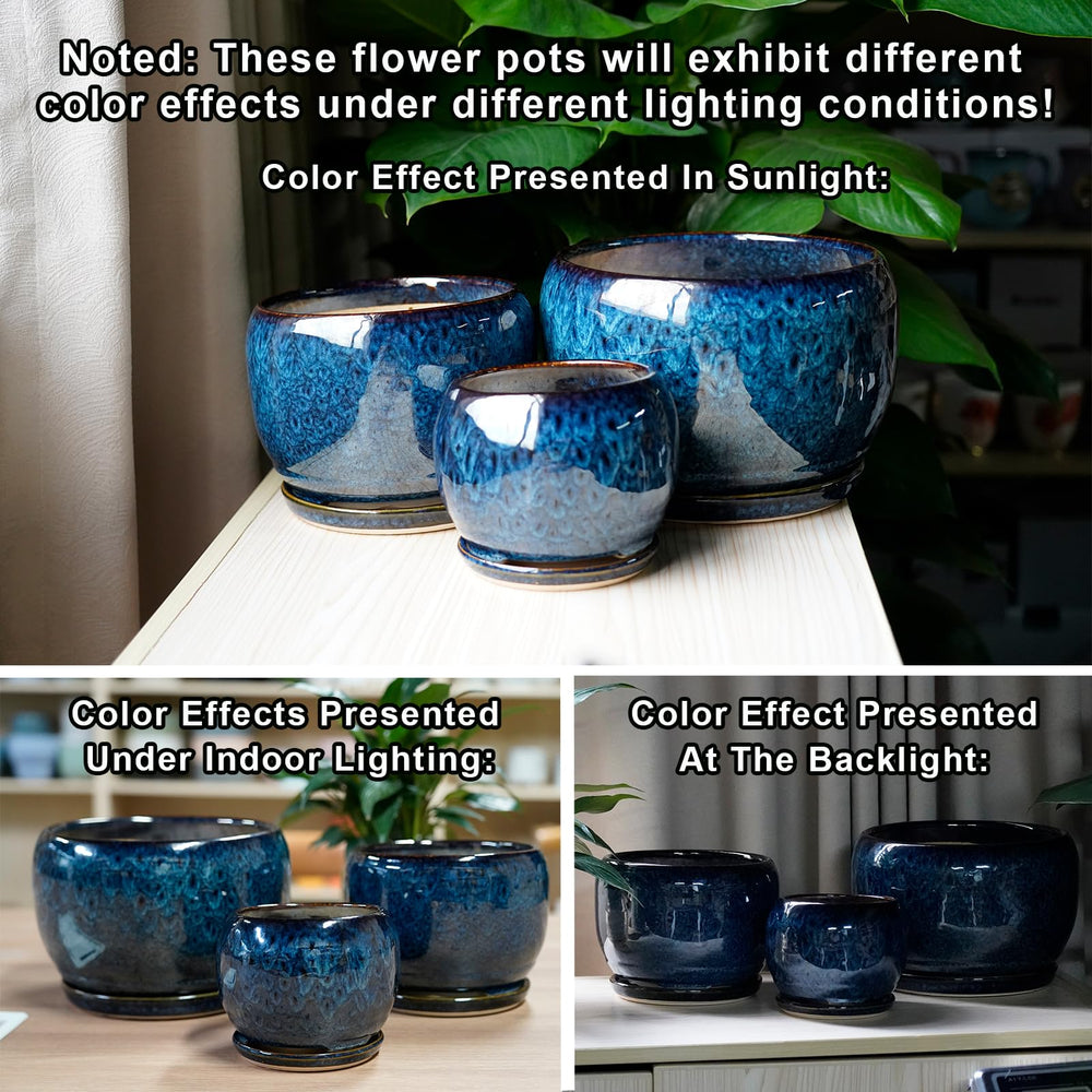 SQOWL maceta con monstera ilustrando soporte para plantas medianas