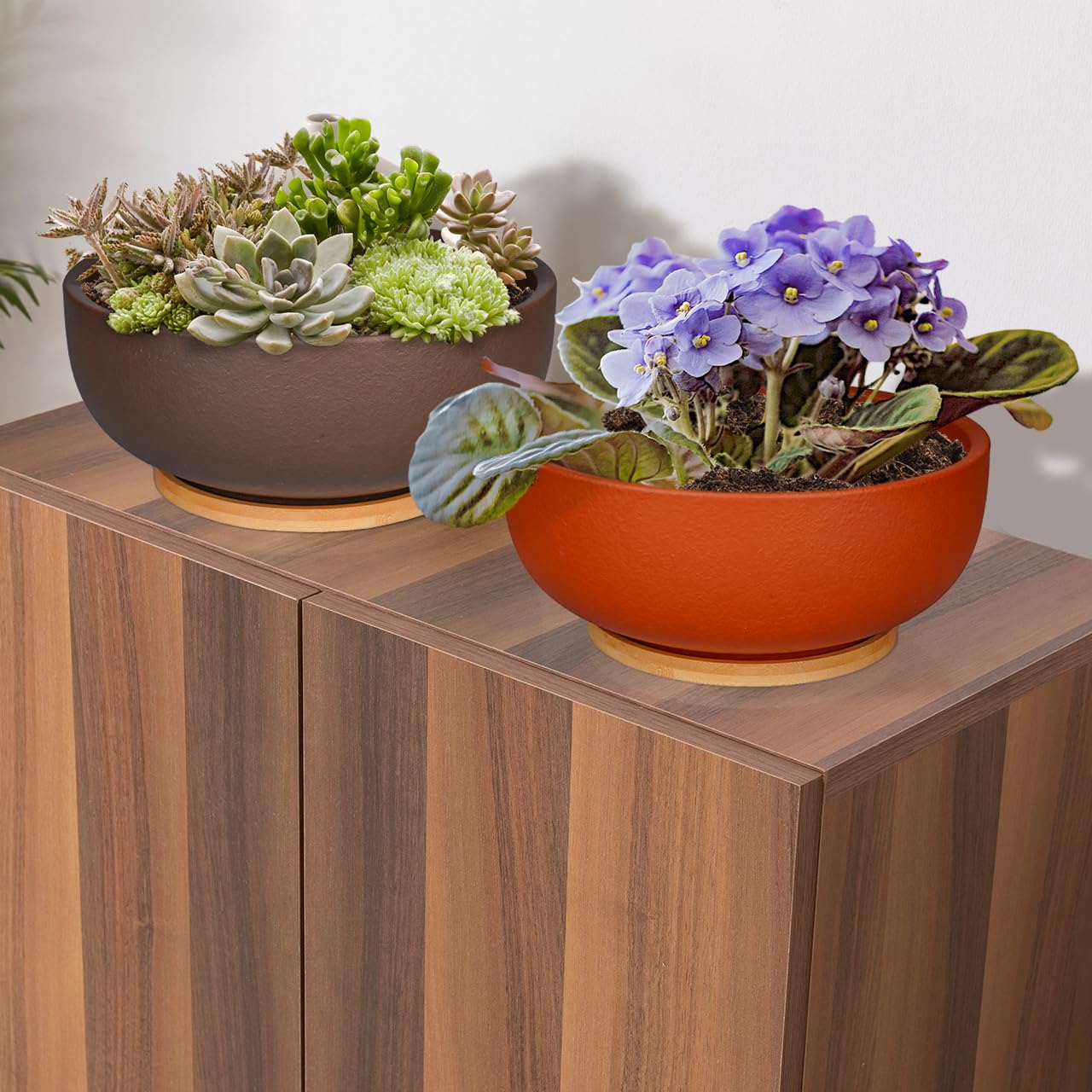 SQOWL pot on a sunny windowsill illustrating natural decor and light benefit
