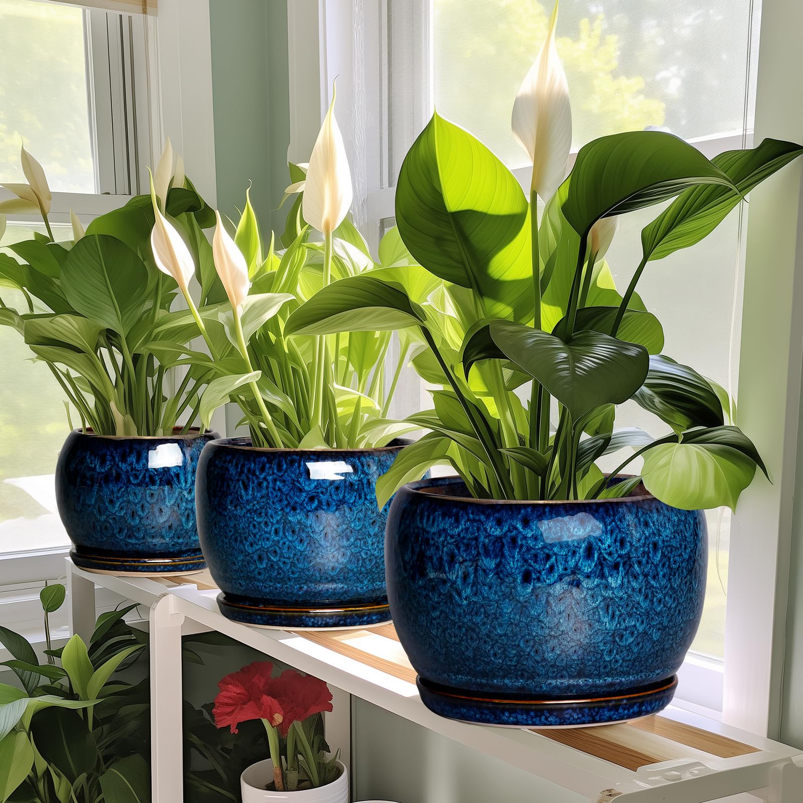 SQOWL outdoor patio display with multiple plants showing versatile styling