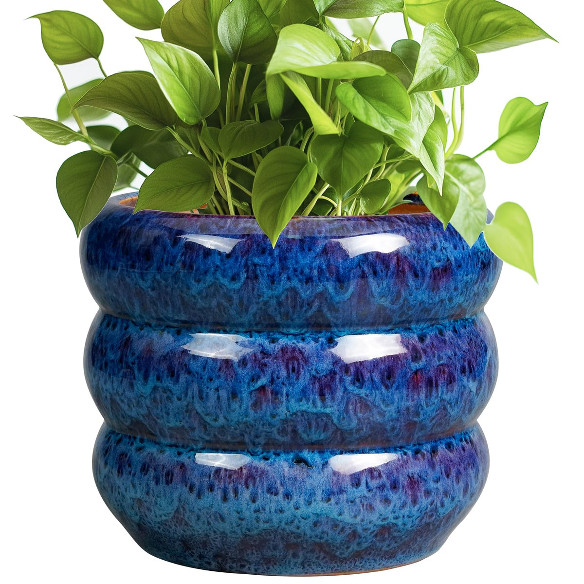 SQOWL peacock blue front view showing elegant layered design and visual appeal