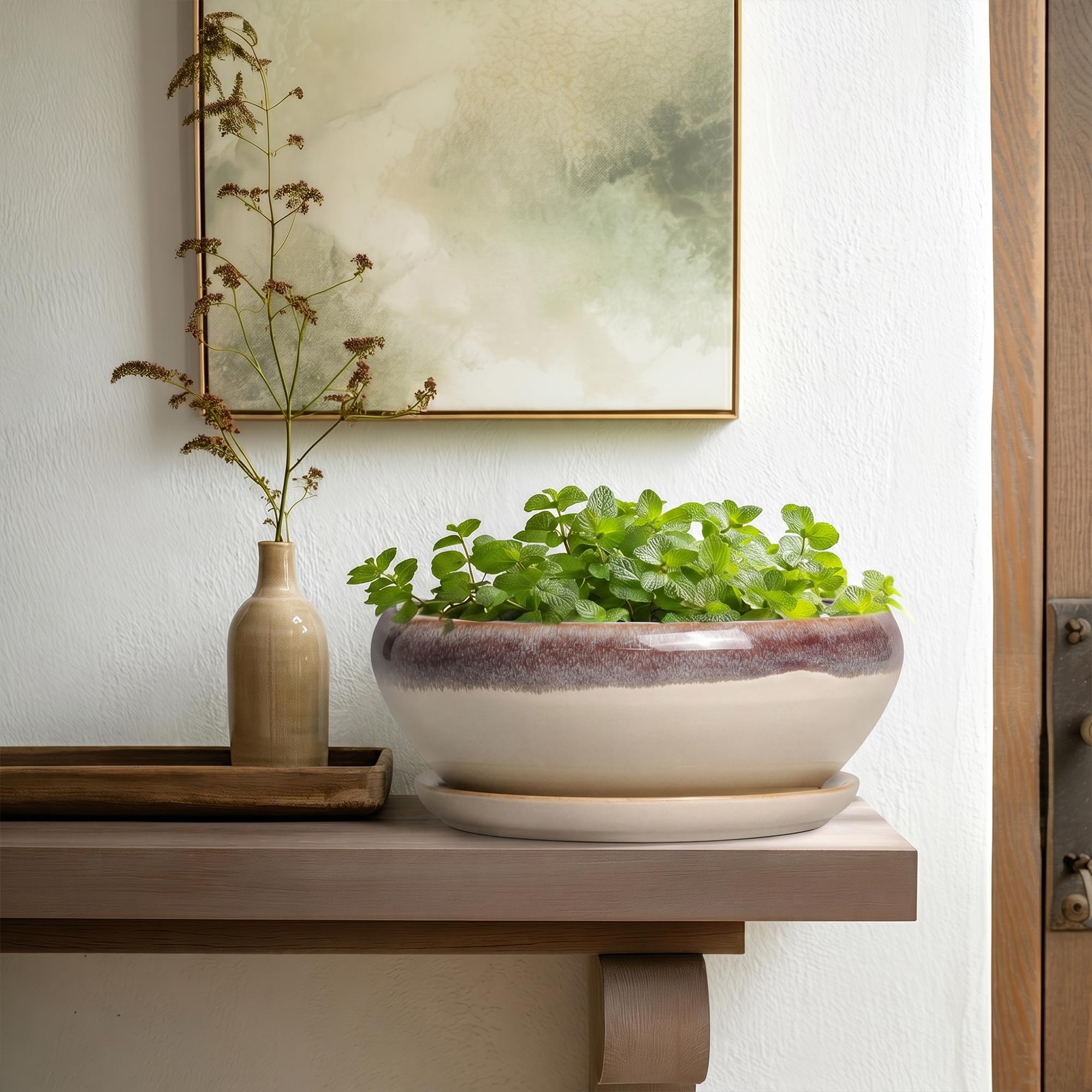 SQOWL potted bonsai in use demonstrating styling and plant support