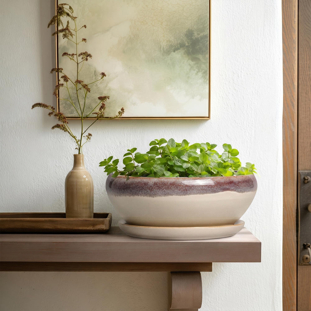 SQOWL potted bonsai in use demonstrating styling and plant support