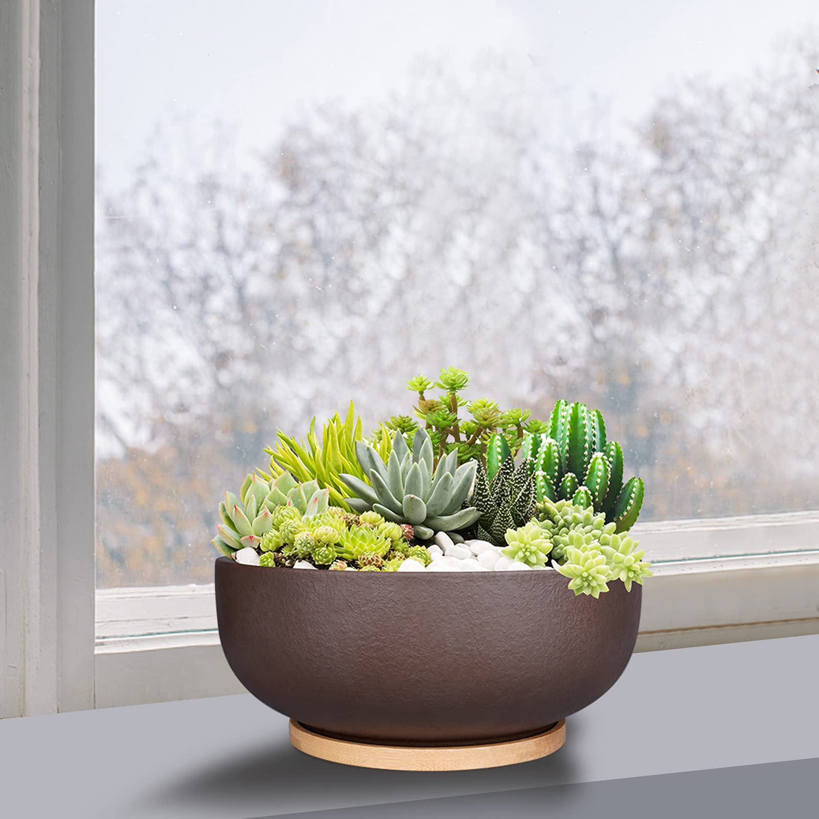 SQOWL planter beside a ruler showing exact 10-inch diameter size reference