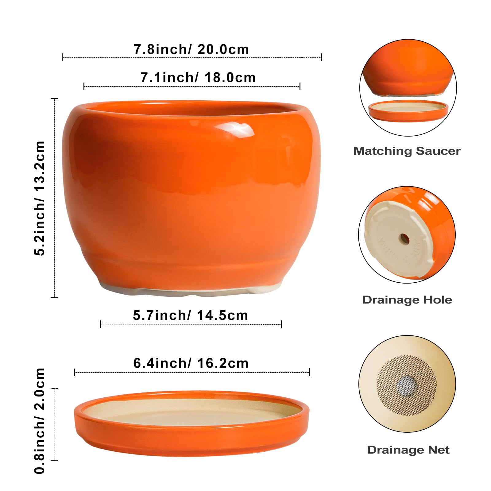 SQOWL top view with plant showing fit and easy planting benefit