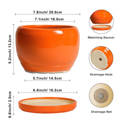SQOWL top view with plant showing fit and easy planting benefit