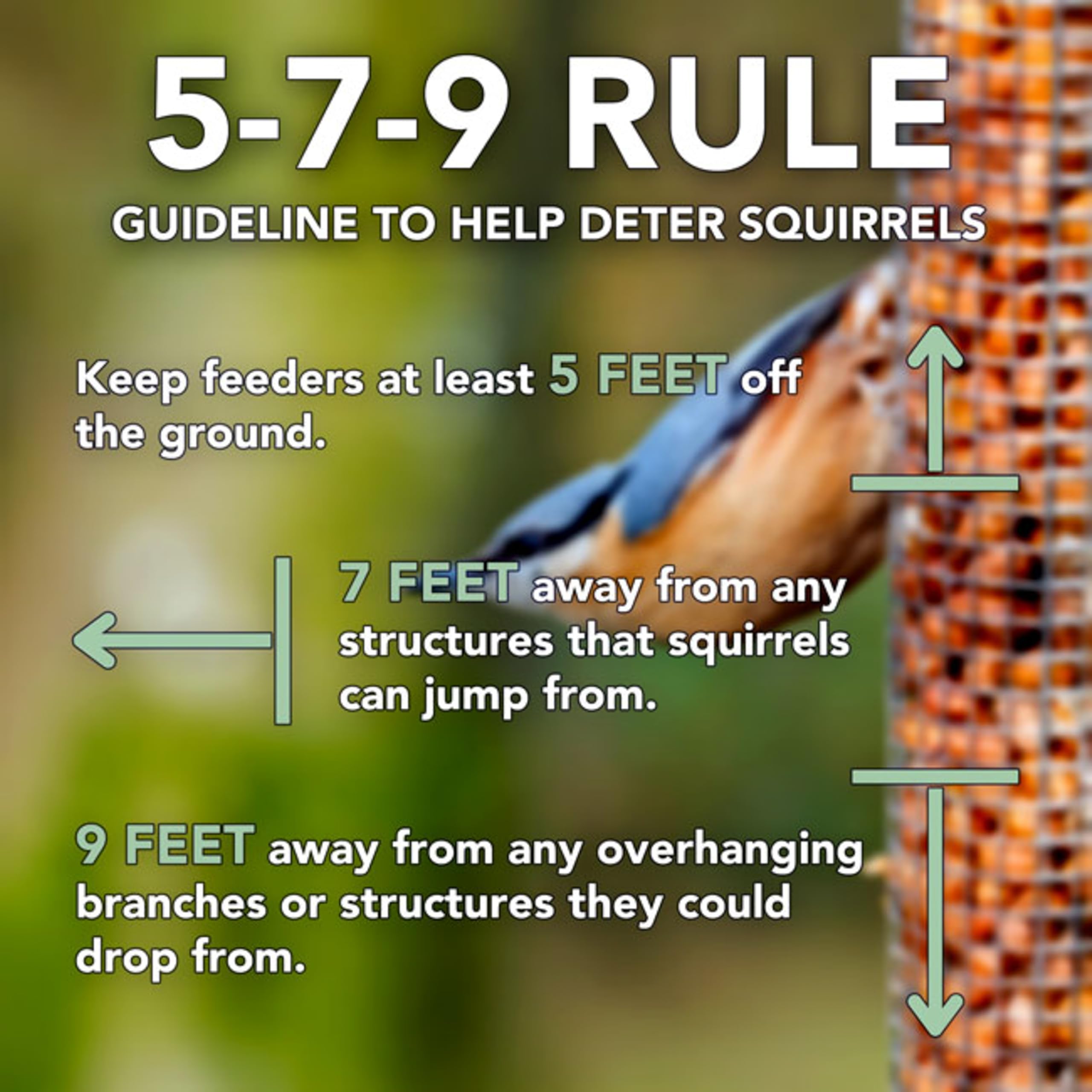 Squirrel Buster cleaning with disassembled parts for hassle-free maintenance