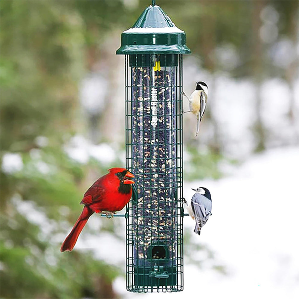 Squirrel Buster close-up on U-shaped perch providing bird comfort