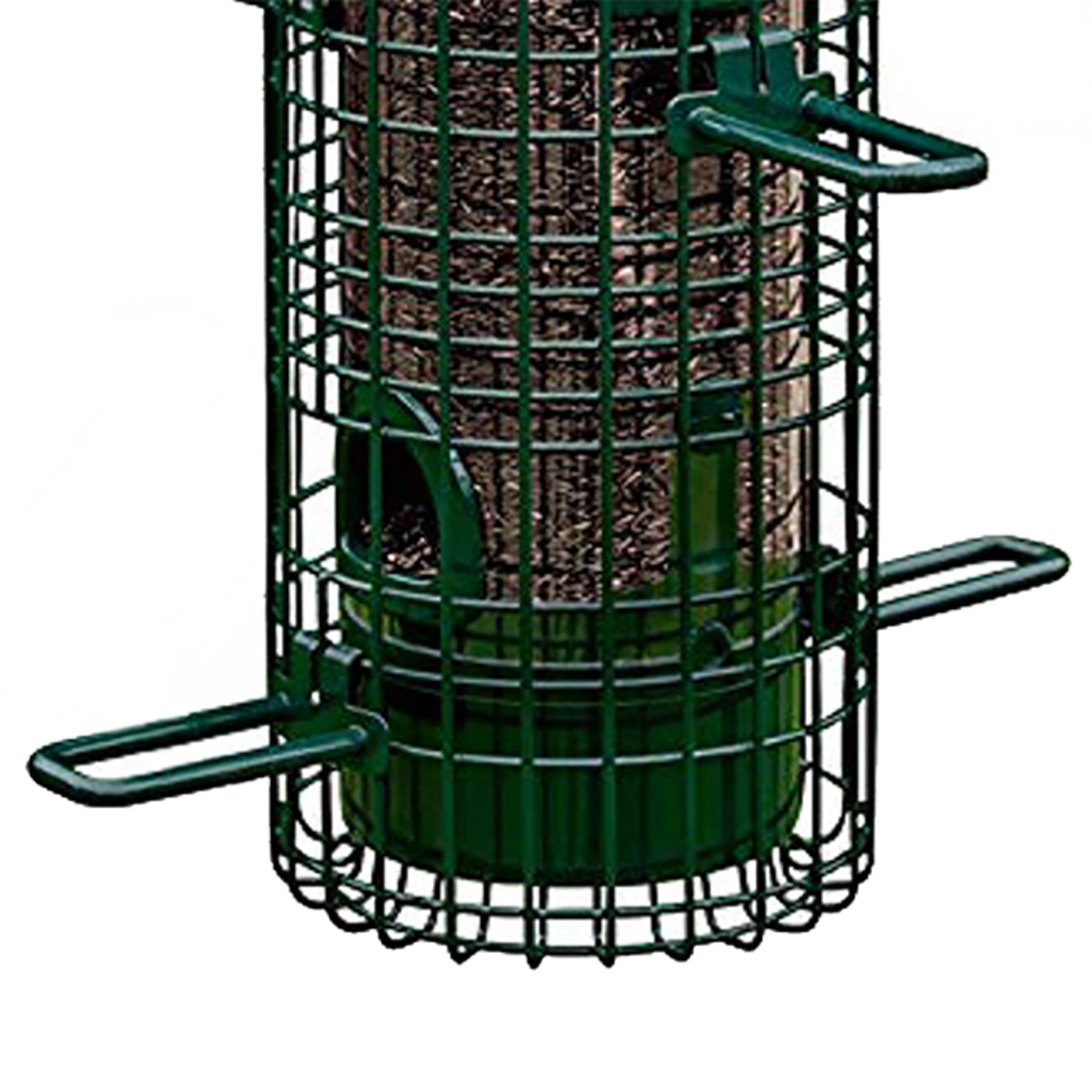 Squirrel Buster in backyard setting attracting songbirds to improve sightings