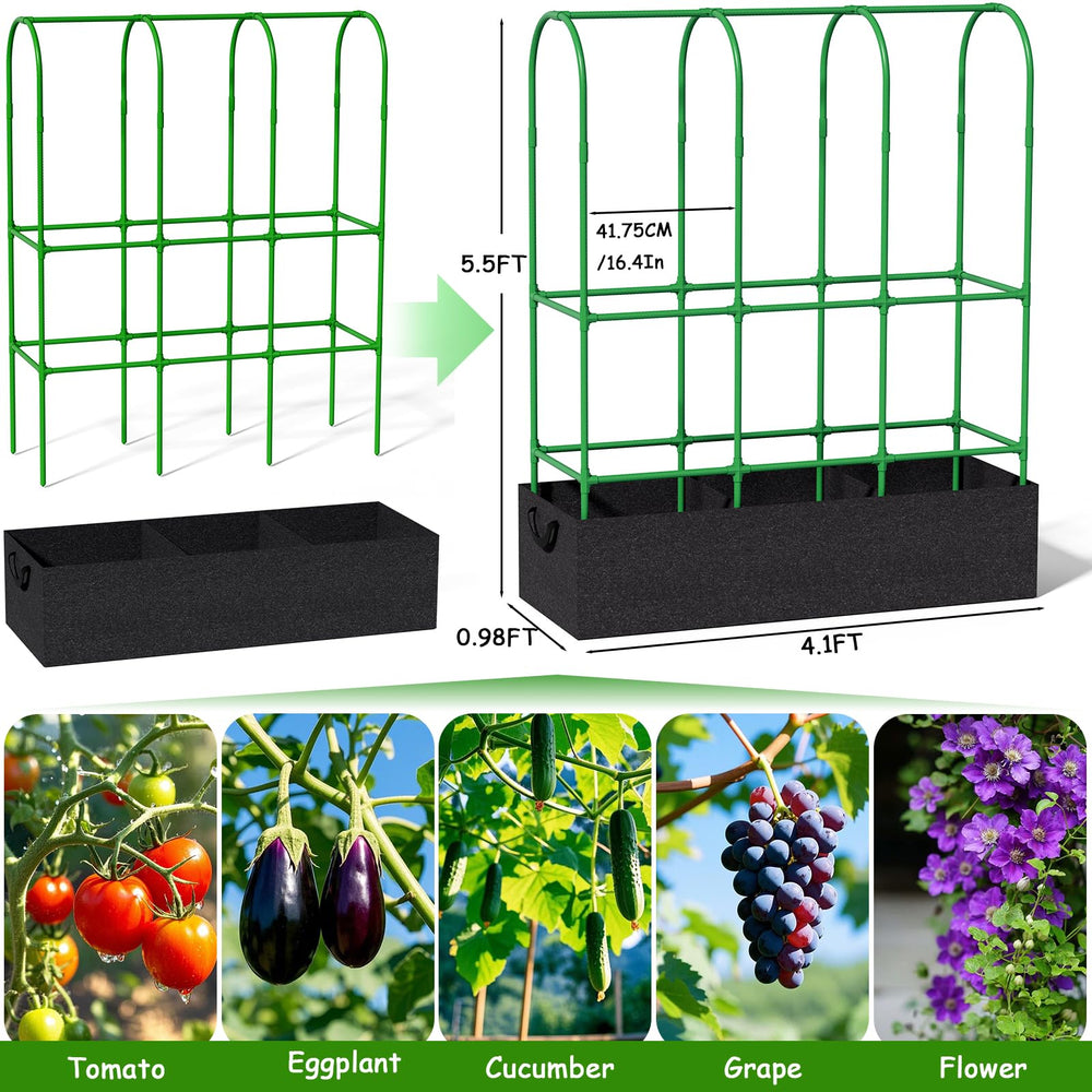 Srapwati trellis next to gardener showing scale and space-saving advantage
